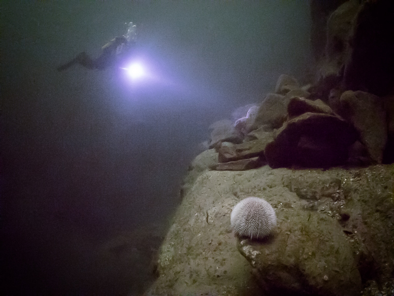 2014-04-11 Ullapool Diving_0016.jpg