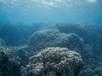 2012-11-03 Dahab_0022.jpg