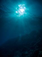 2012-11-03 Dahab_0223.jpg