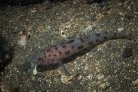 2014-10-04 Lochaline_0002.jpg