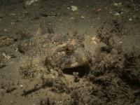 2014-10-04 Lochaline_0018.jpg