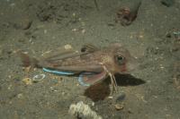 2014-10-04 Lochaline_0020.jpg