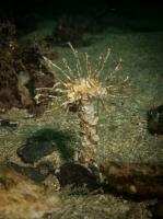 2015-06-12 Castle Sween_0018.jpg