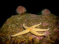 2015-06-12 Castle Sween_0020.jpg